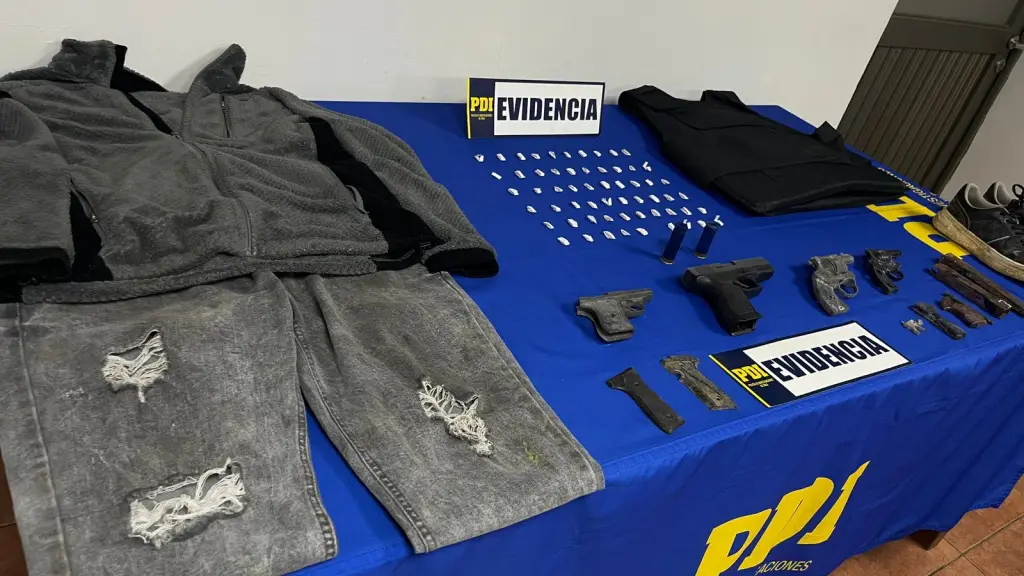 Especies incautadas por la PDI en operativo realizado en Lota, PDI Biobío