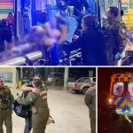 El Sgto. 1ero. Mario Saavedra, junto a la Cabo 2do. Bárbara Soto, ambos funcionarios de la 1era. Comisaría de #LosÁngeles, atendieron exitosamente un parto en la vía pública, en ruta Q-180,