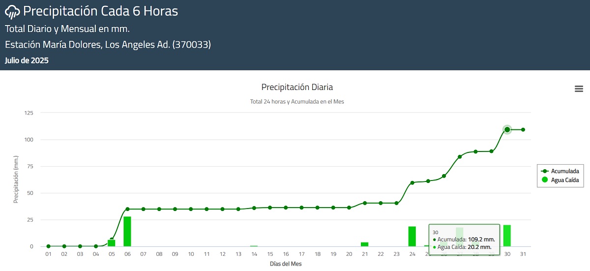 Informe mensual precipitación cada 6 horas Estación María Dolores / Captura
