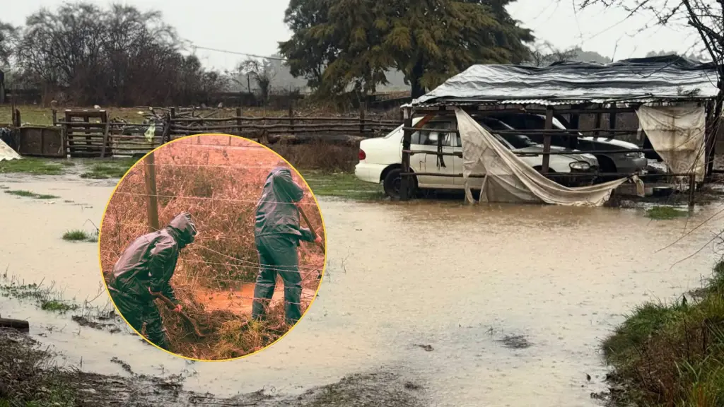 El hecho se registró en el sector Campamento, donde personal municipal y dirigentes vecinales colaboraron para contener los daños. Autoridades mantienen monitoreo en distintos puntos de la comuna.