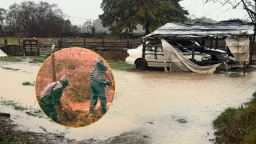 Vecino de Campamento sufre inundación en su terreno: personal municipal acude en su ayuda