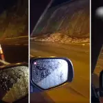 Evento se produjo en el kilómetro 537, sector Liucura. Tránsito fue restringido a una pista en dirección al norte y no se reportaron lesionados.