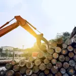 La red Futuro Madera agrupa a seis gremios que elaboraron un documento con propuestas concretas para el próximo gobierno., Grupo Forma-t