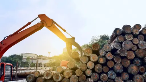 Encuentro de Futuro Madera en Nacimiento se reagenda por sistema frontal