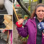 Inundación por rebalse de aguas servidas dejó daños en vivienda y mobiliario. Vecina solicita sacos de arena, leña seca y soluciones para enfrentar nuevos episodios climáticos.