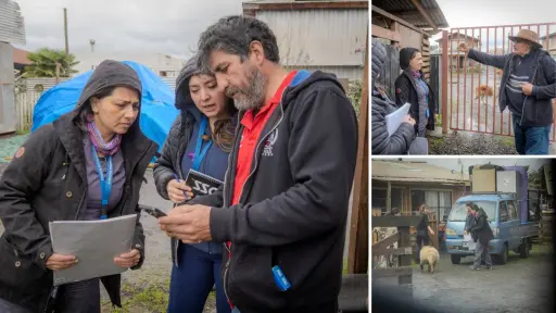 Realizan catastro para identificar a vecinos expuestos a aguas servidas tras sistema frontal en Los Ángeles