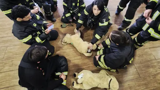 Formación en primeros auxilios para animales reúne a bomberos y expertos en Los Ángeles