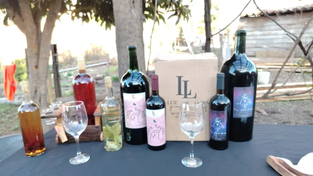 Enoturismo toma cada vez más fuerza en la provincia de Biobío., Cedida