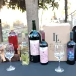 Enoturismo toma cada vez más fuerza en la provincia de Biobío., Cedida