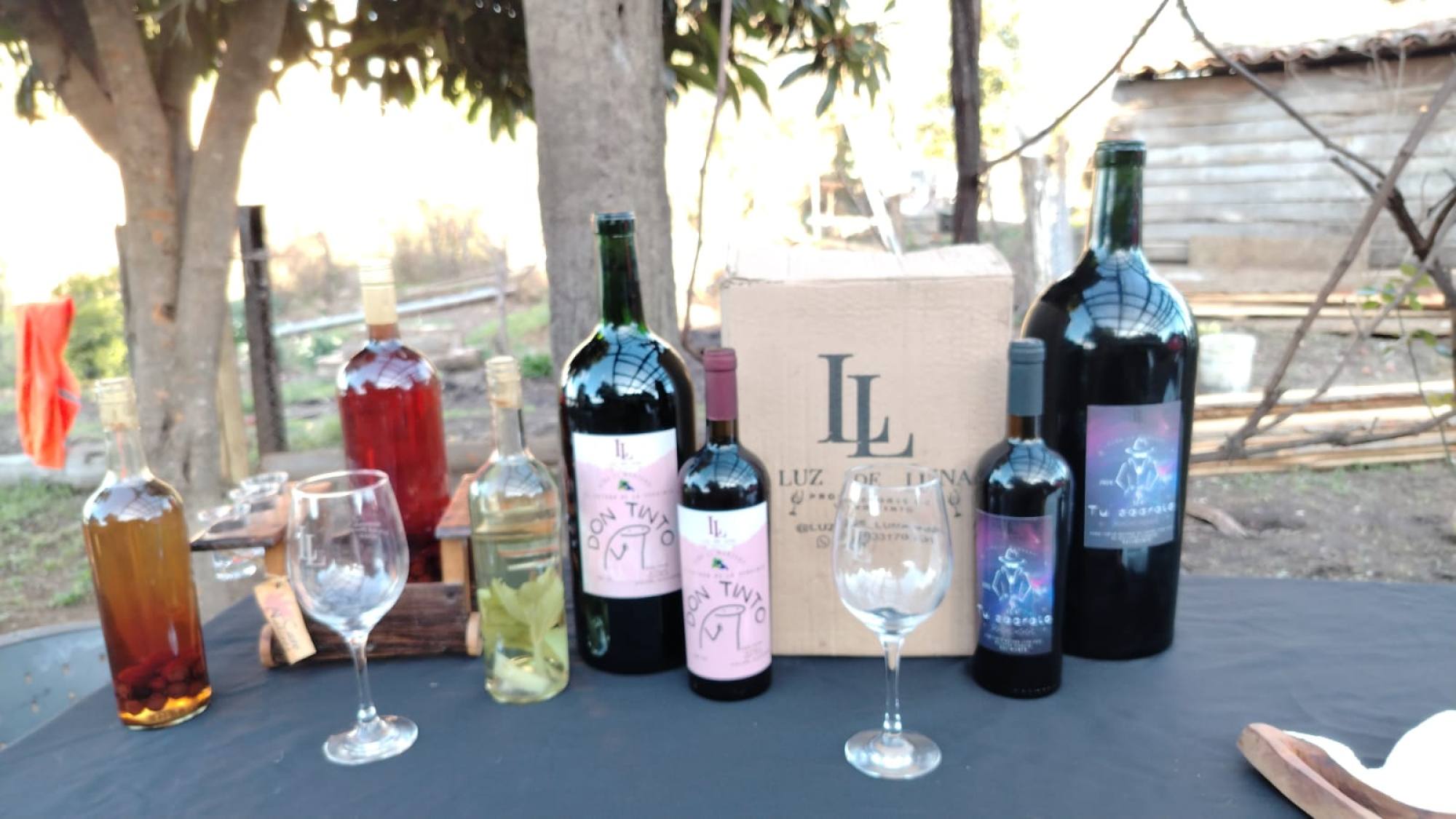 Desde Nacimiento a San Rosendo: el enoturismo a escala humana que posiciona a Biobío en el mapa mundial del vino