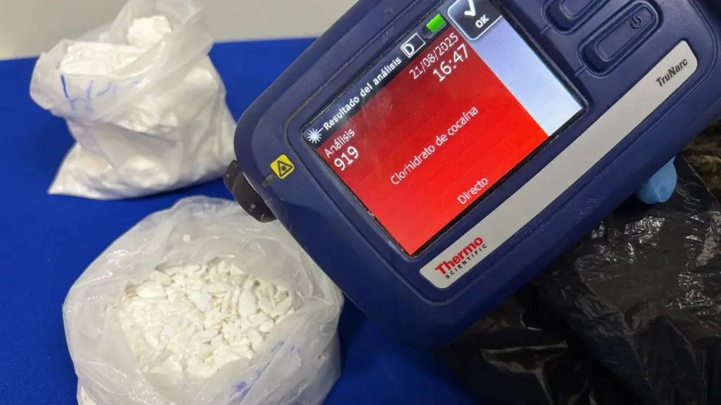 La droga incautada fue avaluada en 9 millones 930 mil pesos.   , PDI Araucanía