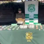 La droga provenía de la Región Metropolitana con destino a Chillán y Los Ángeles., Ministerio Público