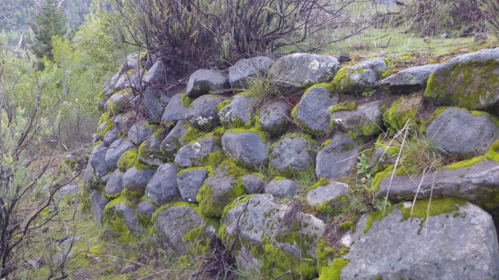 Oculto entre los robles y la maleza permanece el fuerte Príncipe Carlos, que desde ahora podrá ser visibilizado y protegido., Diario La Tribuna