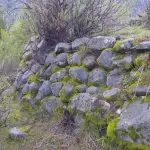 Oculto entre los robles y la maleza permanece el fuerte Príncipe Carlos, que desde ahora podrá ser visibilizado y protegido., Diario La Tribuna