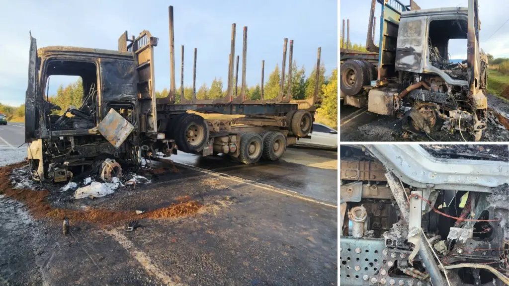 Carlos León Gajardo, administrador y fundador de la firma, relató a Diario La Tribuna que los atacantes —dos individuos que se movilizaban en una camioneta robada— abordaron al trabajador a punta de pistola y lo obligaron a conducir por cerca de ocho kilómetros.