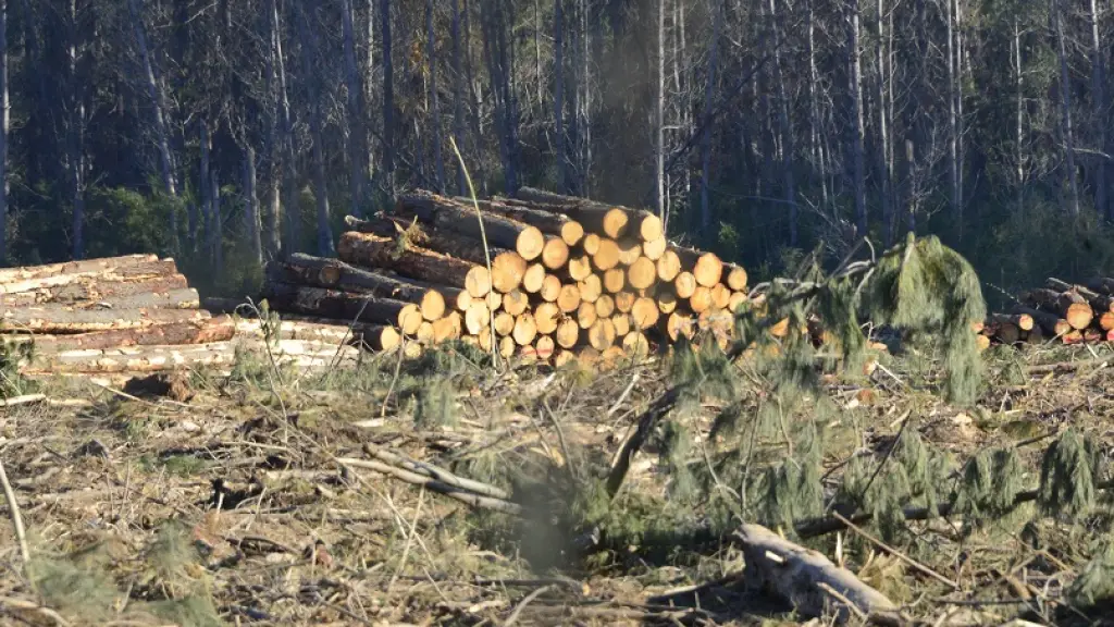 Robo de madera (foto referencial), Fredy Muñoz, La Tribuna