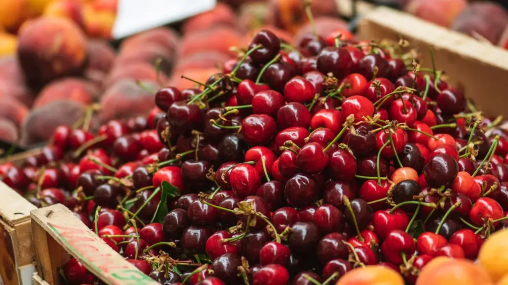 La región del Biobío produce frutas y derivados forestales de exportación que, según Socabio, generan mayor rentabilidad comercializándose como productos frescos de calidad que sometidos a procesamientos industriales complejos.