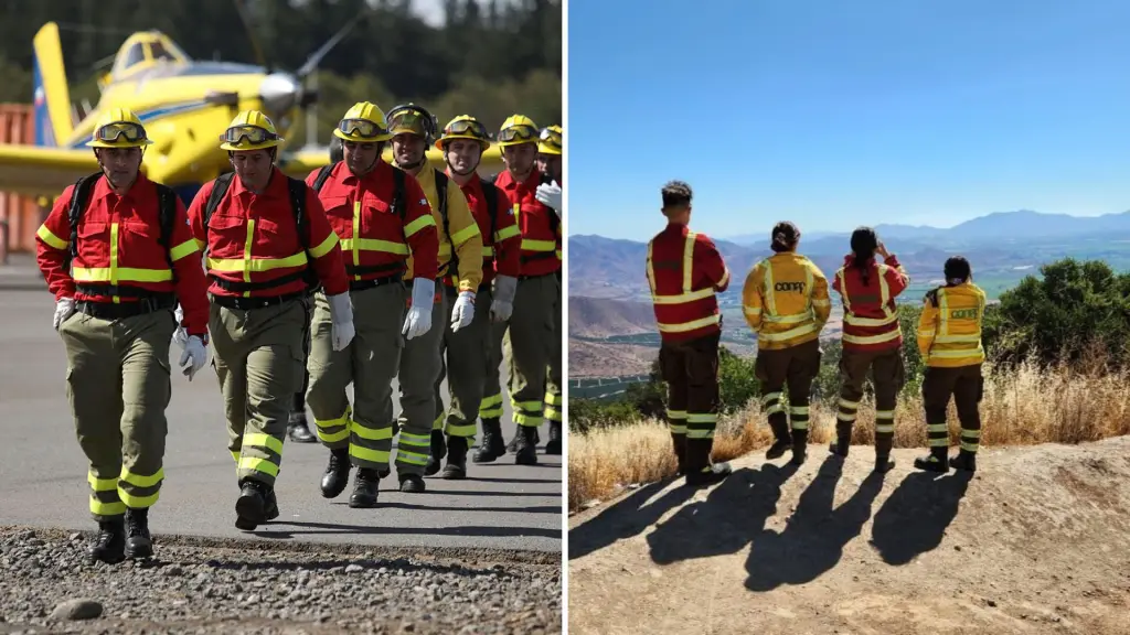 Buscan agilizar aprobación de planes forestales y dar respuesta más rápida ante emergencias, Diario La Tribuna