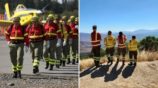 Buscan agilizar aprobación de planes forestales y dar respuesta más rápida ante emergencias