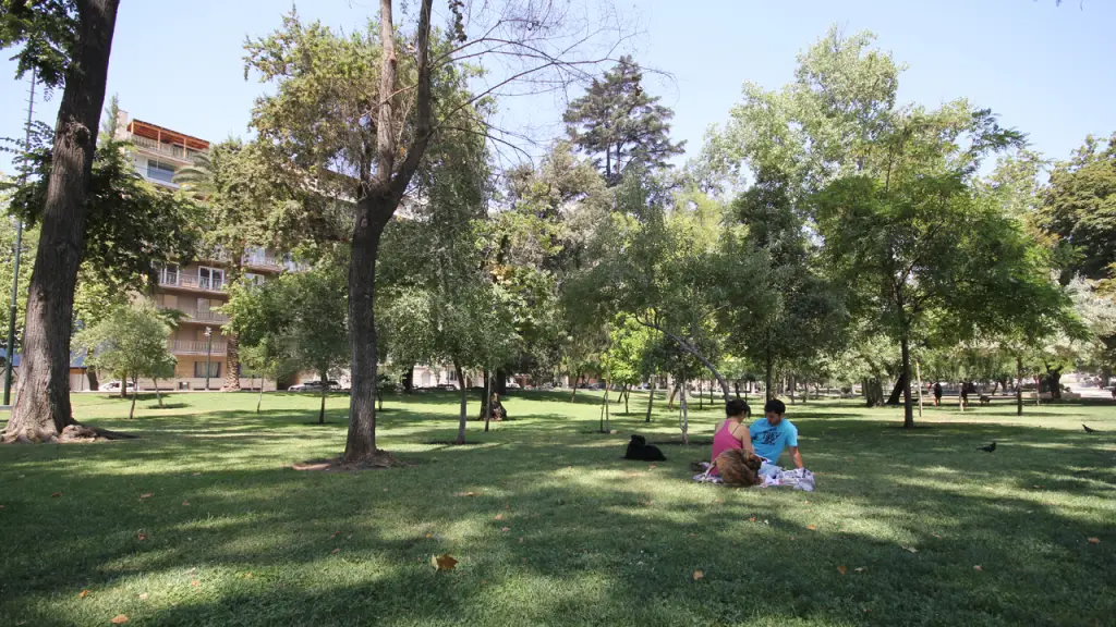 Especialistas proponen estrategias científicas contra la ansiedad digital: desde ejercicio físico que libera factores neurotróficos hasta técnicas como la regla 20/20/20 y grounding en espacios verdes urbanos, Fundación Mi Parque. 