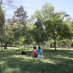 Especialistas proponen estrategias científicas contra la ansiedad digital: desde ejercicio físico que libera factores neurotróficos hasta técnicas como la regla 20/20/20 y \'grounding\' en espacios verdes urbanos, Fundación Mi Parque. 