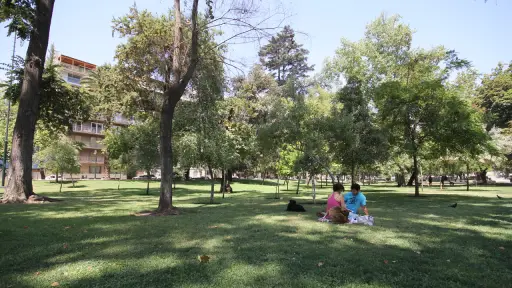 Salud mental en la era digital: estrategias reales para reconectar contigo mismo