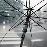 sombrilla, naturaleza, lluvia, mojado, tiempo, frío, gotas de lluvia, claro paraguas, ciudad, paso de peatones, tormenta, lluvioso, agua, Pixabay