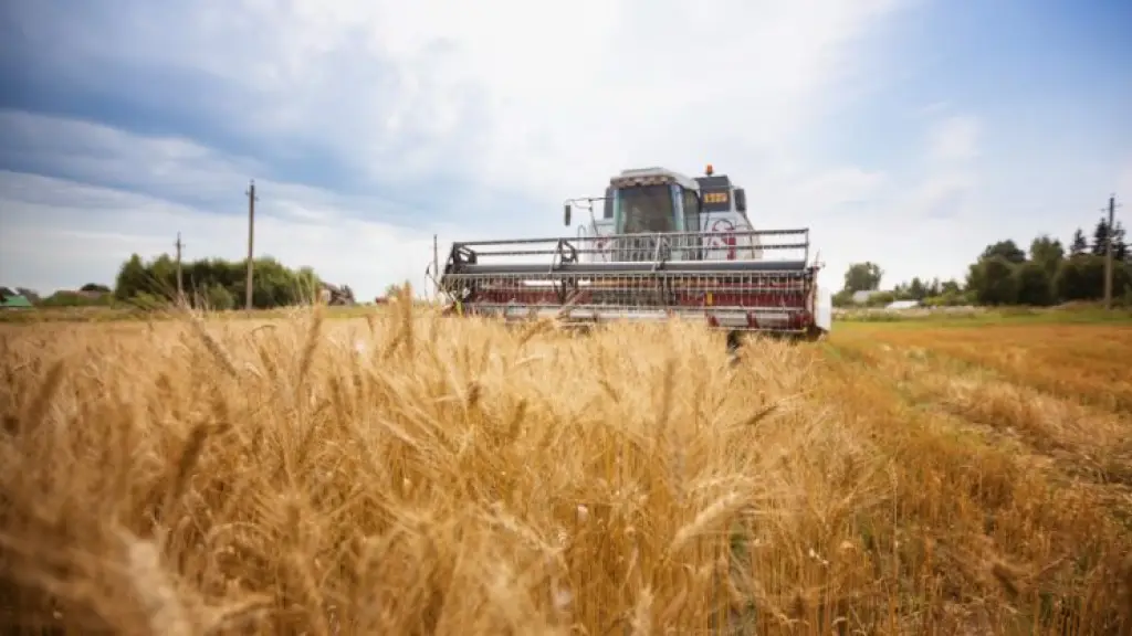 Si bien la tecnología y la IA pueden estar al servicio de los productores agrícolas, muchos aún no utilizan las plataformas disponibles o no alimentan a estas con la información verídica.