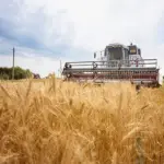 Si bien la tecnología y la IA pueden estar al servicio de los productores agrícolas, muchos aún no utilizan las plataformas disponibles o no alimentan a estas con la información verídica.