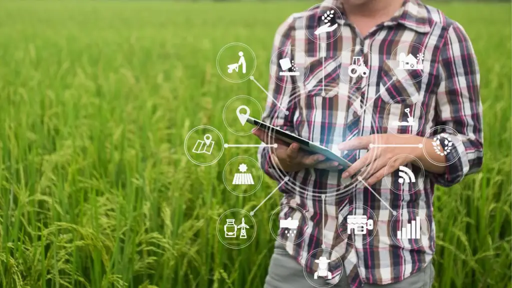 El encuentro  reunió a agricultores desde Valparaíso hasta Magallanes para conocer aplicaciones de inteligencia artificial que van desde robots de cosecha hasta sensores de detección de humedad. / Elaisian