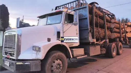 Parlamentarios afirman que más empresas caerán en la investigación por receptación de madera robada