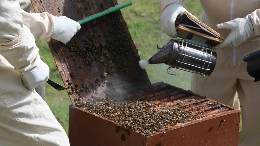 Monachi participará de Expo Osaka 2025, que se desarrollará entre abril y octubre en Japón para conocer la nueva tecnología disponible en el mundo para la apicultura.