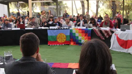 Consulta indígena en provincia de Biobío tendrá encuentros en agosto: Alto Biobío y Los Ángeles las sedes