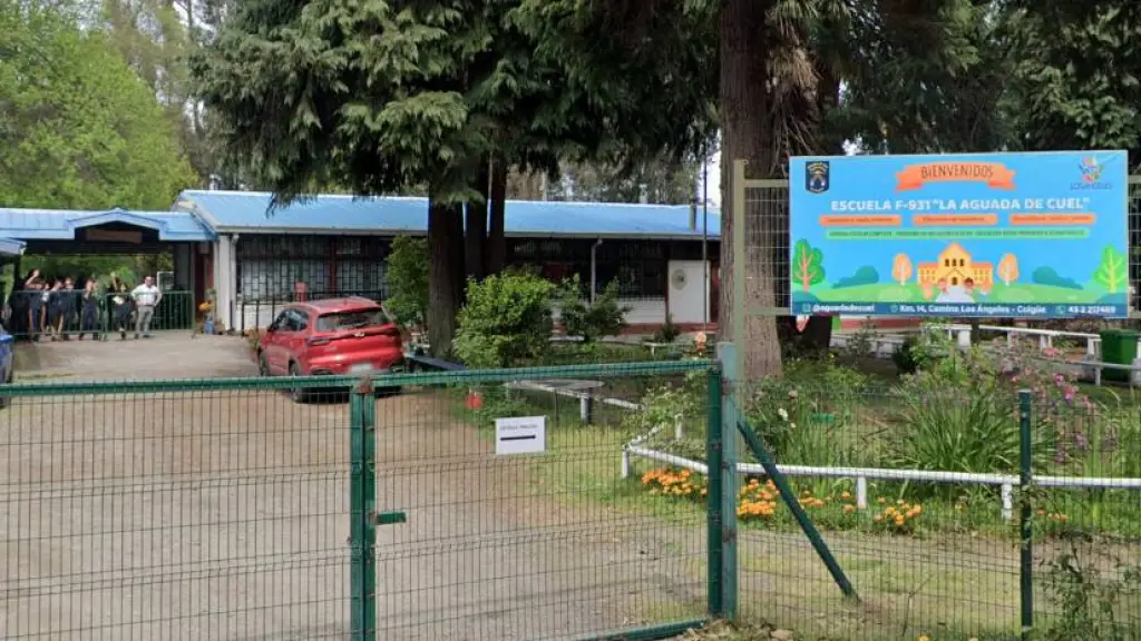 Escuela rural de Los Ángeles desmiente la existencia de una plaga de ratones, Diario La Tribuna