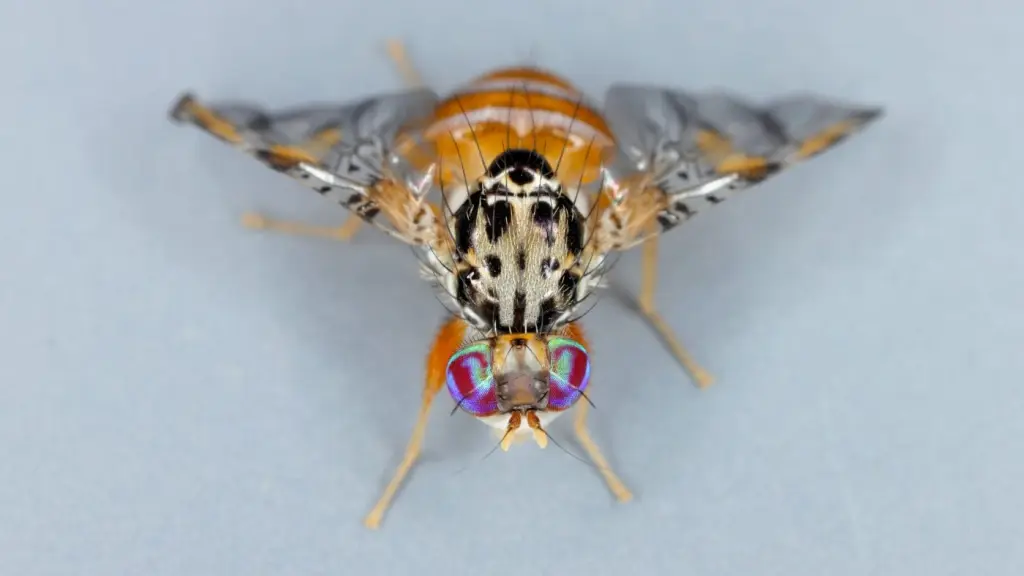 El gremio ha buscado apoyar y fortalecer la labor del SAG, considerando que las exportaciones y el ingreso de turistas han aumentado, pero no los recursos destinados a la institución.