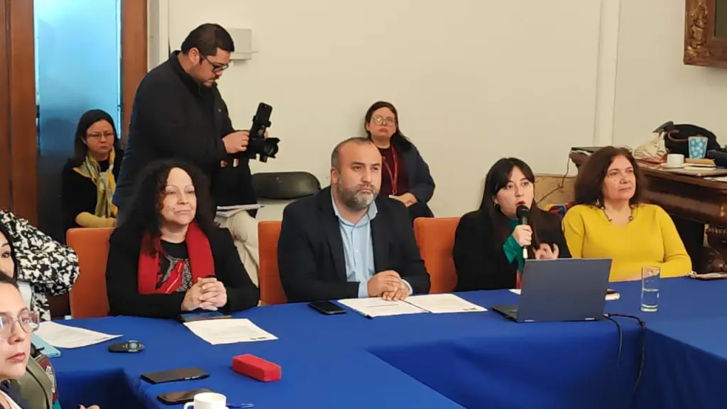 La seremi de la Mujer y Equidad de Género, Camila Contreras, presentó los avances del Plan 10 Comunas contra la violencia hacia las mujeres 2025., DPR Biobío