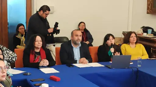 Provincia de Biobío concentra las comunas con más denuncias por violencia de género