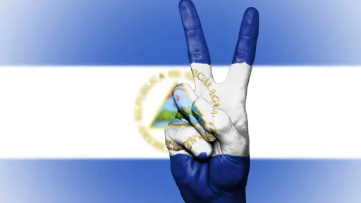 Cámara pide al Gobierno condenar violaciones a los DD.HH en Nicaragua y exigir liberación de presos políticos
