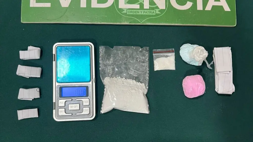 Especies incautadas por Carabineros de la Patrulla Foco., Cedida