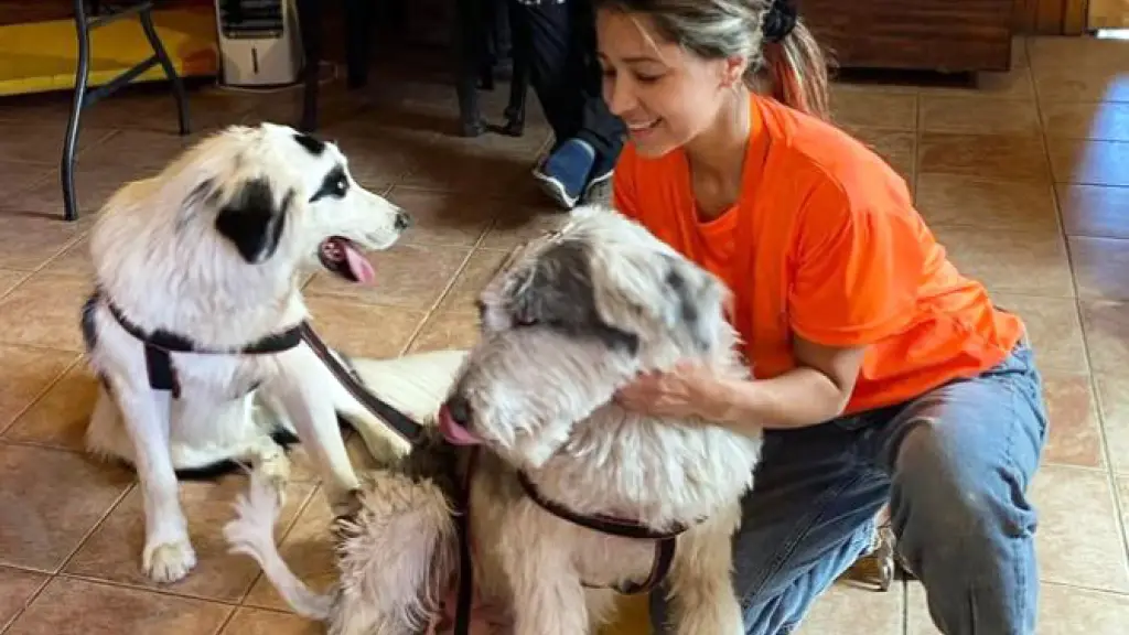 La jornada se desarrollará el próximo lunes 18 de agosot., DCS Los Ángeles.