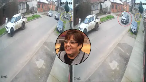 Atropello en Mulchén: defensa de la directora del DAEM explica por qué no auxilió a menor