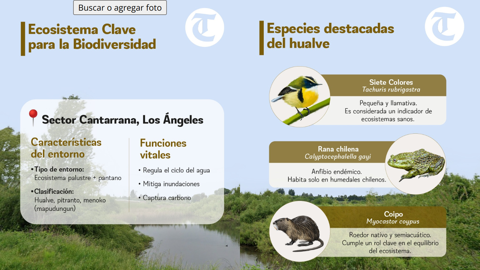 Infografía / Diario