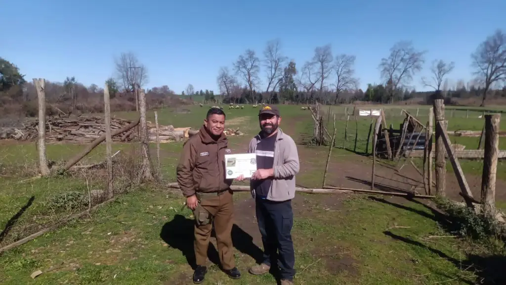 Campaña preventiva contra el abigeato, Quilleco