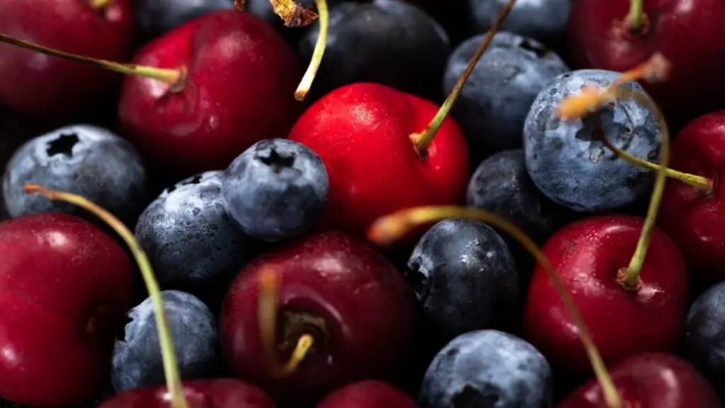 El evento reunió a principales exponentes nacionales y locales de la fruticultura, con especial énfasis en cerezas y arándanos como cultivos predominantes en la expansión agrícola regional hacia el sur.