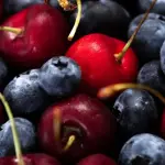 El evento reunió a principales exponentes nacionales y locales de la fruticultura, con especial énfasis en cerezas y arándanos como cultivos predominantes en la expansión agrícola regional hacia el sur.