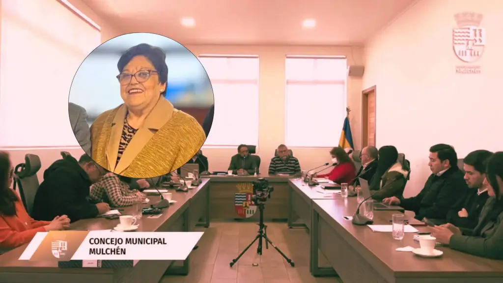 Autoridades comunales discutieron el impacto del caso y la falta de facultades del Concejo para remover a la funcionaria.