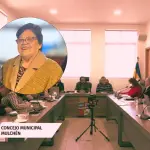 Autoridades comunales discutieron el impacto del caso y la falta de facultades del Concejo para remover a la funcionaria.