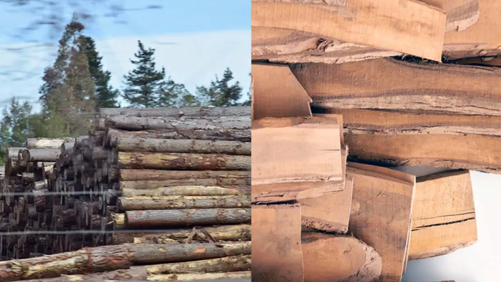 La madera como motor del desarrollo, Archivo La Tribuna