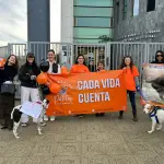 Fundación animalista convoca marcha por perrita comunitaria fallecida tras atropello en Los Ángeles , Diario La Tribuna