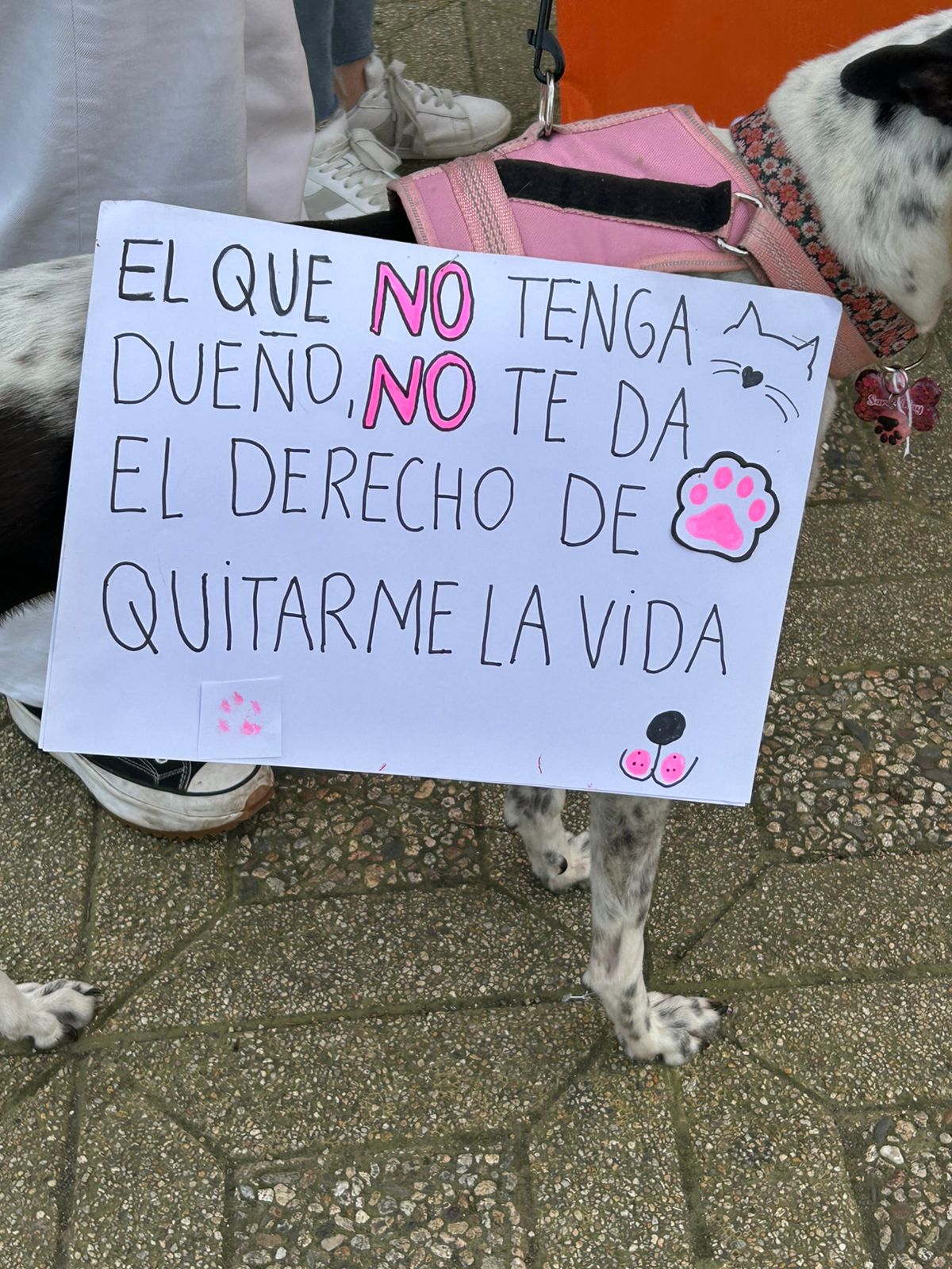 Marcha por Negrita / Diario La Tribuna